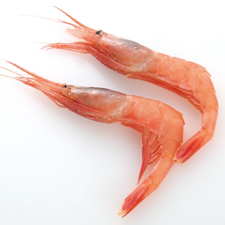 極上カナダ産＞溶かすだけ！ボイル甘エビ 5kg【24新物】