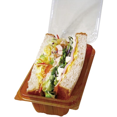 画像をクリックで拡大