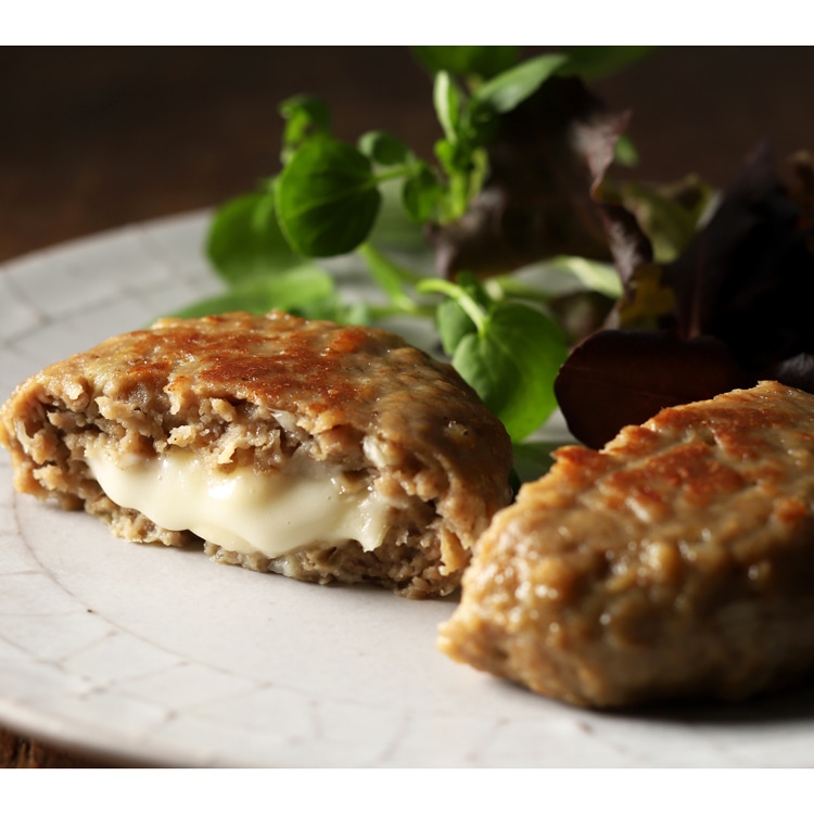 とろーりチーズのハンバーグ100 10食入: 特別在庫品 KANTO EXPRESS