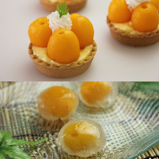 中国産）びわM2号缶: 特別在庫品 KANTO EXPRESS - 食空間創造企業