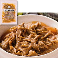 JG ミニ牛丼の素 90G 20食入