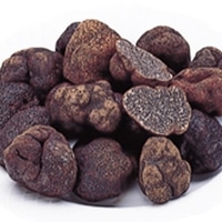 Ⓚgt M(3`4CM) 500G