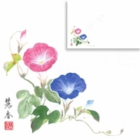 華シリーズ テーブルマット 朝顔 7月〜8月 100枚入