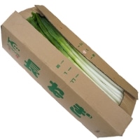 ねぎ B品(不揃い) 埼玉産他 5KG