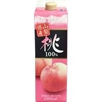 100iRY100j 1L