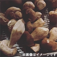 フレッシュポルチーニ空輸(時価