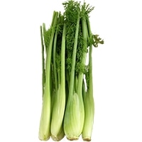 XeBbLI(XeBbNtFl)M ʌY 5{