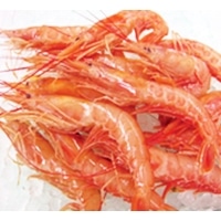 アルゼンチン産赤海老L3 30/40(約70尾) 2KG
