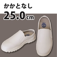 JCM T{RbNV[Y (JJg)  25cm