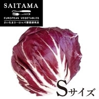 fBbLIELIbW STCY ʌY 1