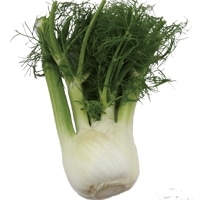 �t�B�m�b�L�I(�t�F���l��)L ��ʌ��Y 1����