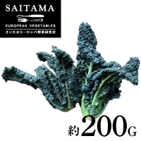 �J�[�{���l��S(���L���x�c) ��ʌ��Y ��200G