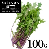  ʌY 100G