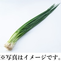 H)���K[�t�˂�]�@�p�b�N