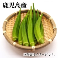 H)(Y)l 1pbN