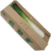 長ねぎ(中国産) 5KG