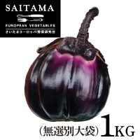 �t�B�����c�F�@(���I�ʑ��)�@��1KG