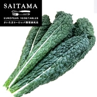 �J�[�{���l���l(���L���x�c)���N100G��ʌ��Y