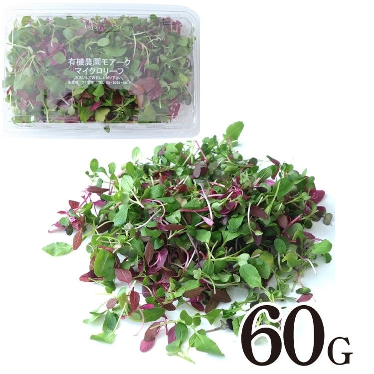 ϲ��ذ̵��Я��60G