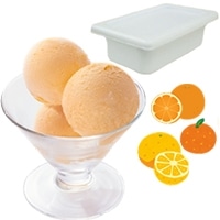 【ロッテ】 フルーツソルベ 柑橘ミックス 2L 冷凍 3セット
