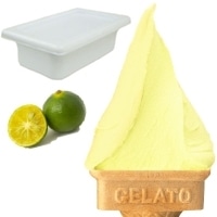 ���̃W�F���[�g����V�[�N���[�T�[