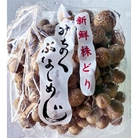 M)ԂȂ߂(쑼) 200G