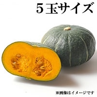 قZ xǖ (5ʃTCY) 1ʓ