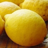 H)�ЉY������(�_�ސ�Y)���_�� 500G