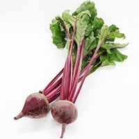 �t�t���b�h�r�[�c2�`3��