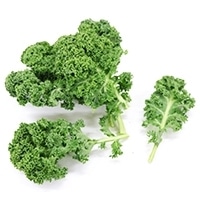 �V�t�P�[���i��j