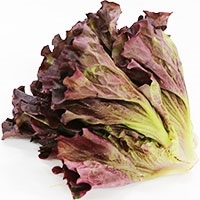 ���C���h���X