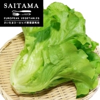 �����^�X�@���N150G