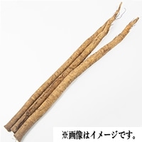H)洗いごぼう(青森産) 500G