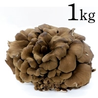 ������(��ʎY)�u�^�v�@1KG