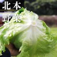 H)���c����̃��^�X(��ʎY) 1��