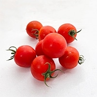 H)���c����̃t���e�B�J(��ʎY) 250G
