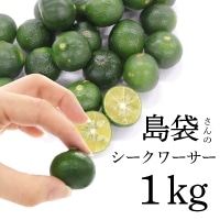 H)܂̃V[NT[(Y) 1KG