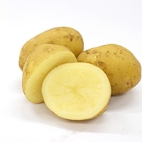 @1KG