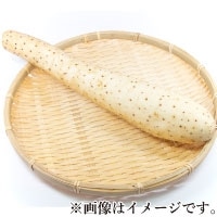 H)長芋(青森産) 約1KG