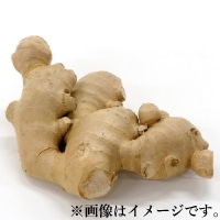 【量り売り】生姜(高知産) 約200〜300G前後