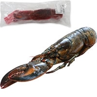 �J�i�_�Y�@����I�}�[�����u�X�^�[