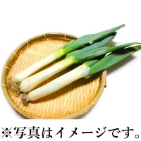 H)��B�˂�(�Q�n�Y)2�`3�{����