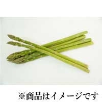 �K�i�O�A�X�p���K�X 1KG