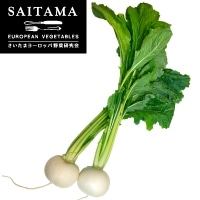 �T���_���e�B�[�i���� ��ʌ��Y 400G