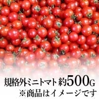 KiO~jg}g 500G