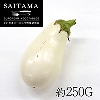 口コミ サイト 商品 約250G: クララ トロ白なす 特別在庫品 食空間 - EXPRESS KANTO 靴