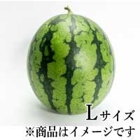 ԑ򂷂L 1