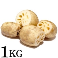 橋本さんの浮島れんこん 1KG
