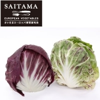 ���f�B�b�L�I�����V�A�Z�b�gM�T�C�Y ��ʌ��Y 1��