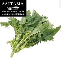 �`�[�}�E�f�B�E���[�p300G